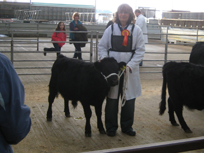 Egaleridge Tobias Dexter Bull calf