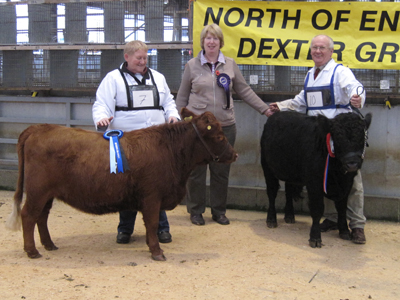 Winners Dexter Calf Show